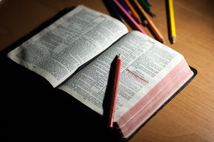 开云·体育官方网站入口-体育教师能力认证制度在试点城市启动，体育教师资格证认定条件