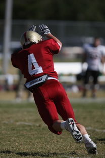 开云官网登录-足球青训进入社区模式拓展非专业球员参与渠道，足球俱乐部青训什么条件